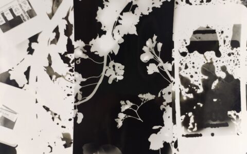Students visit Nottingham Trent University darkroom