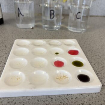 Science experiment results